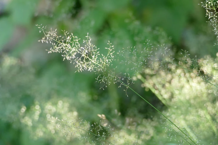5 Ways to Improve Indoor Air Quality and Reduce Toxin Exposure at Home