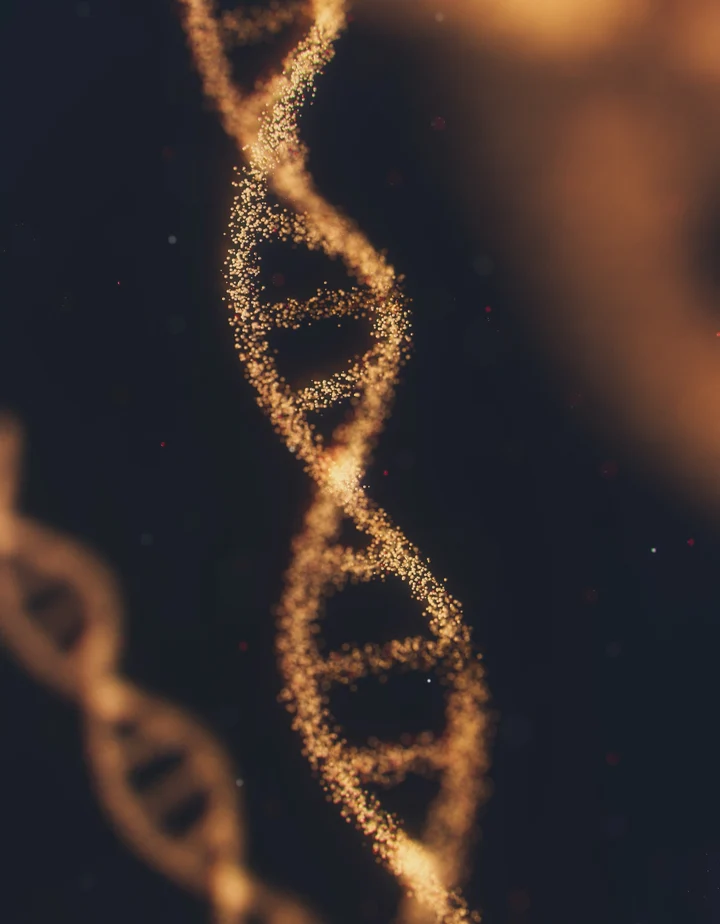 Unlock Your Body’s Blueprint: Discover Genetic Testing